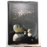 ROMANUL BRANCUSI - Album editura THAUSIB